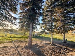 99149 82w Road, Birnie, MB R0J1H0 Photo 30
