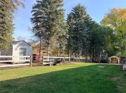 99149 82w Road, Birnie, MB R0J1H0 Photo 32