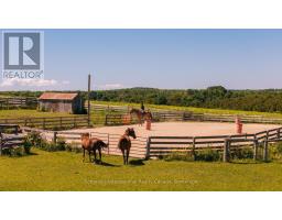 467435 12th Concession B Concession, Grey Highlands, ON N0C1C0 Photo 40