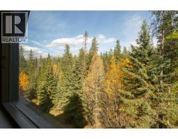 386, 91b Three Sisters Drive, Canmore, AB T1W3M1 Photo 11