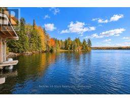 Other - 14 60 Highway E, South Algonquin, ON P0A1H0 Photo 6