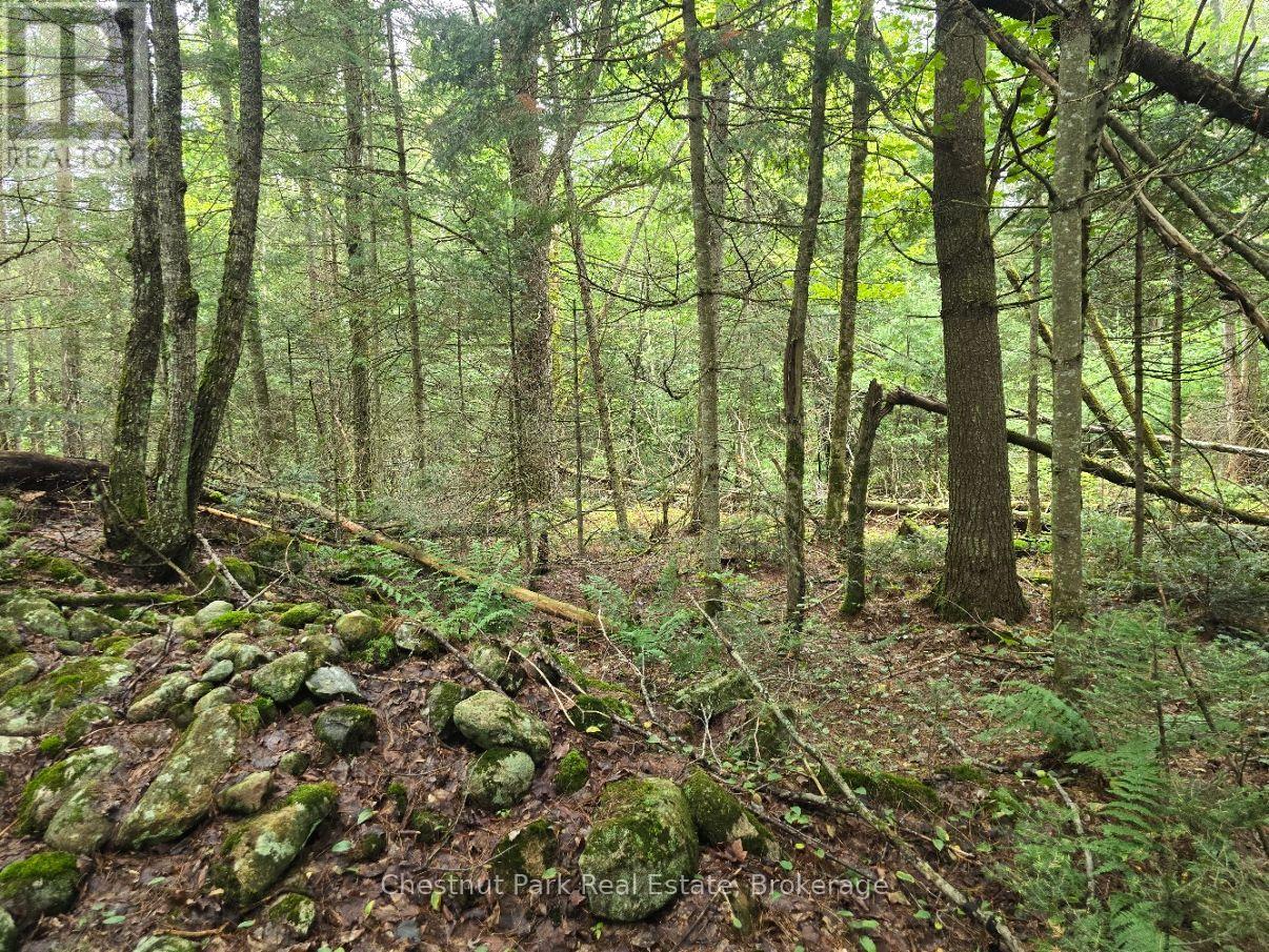 00 OLD TRACK ROAD, Perry — photo 10