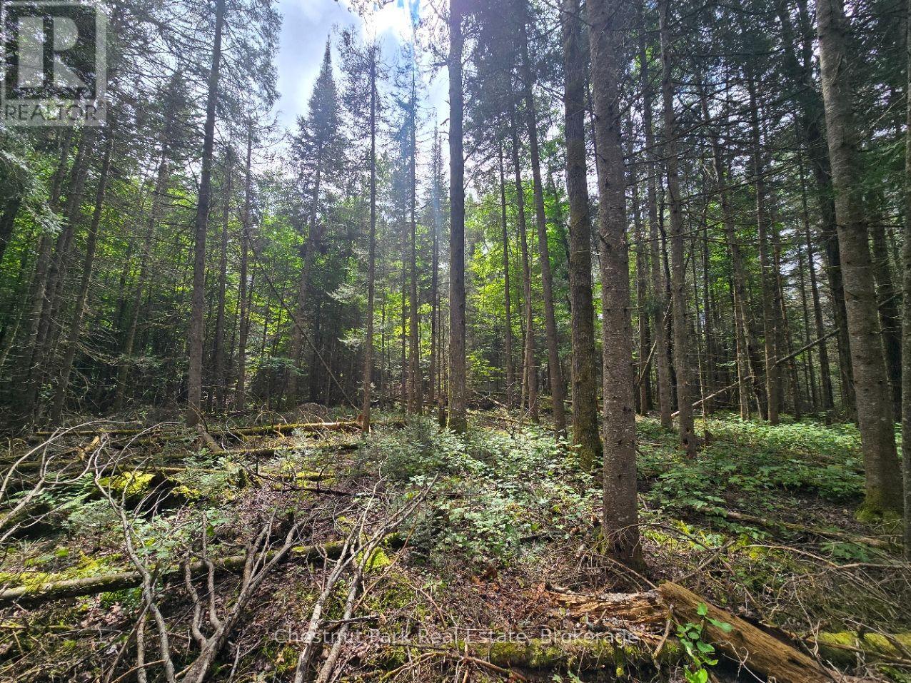 00 OLD TRACK ROAD, Perry — photo 12