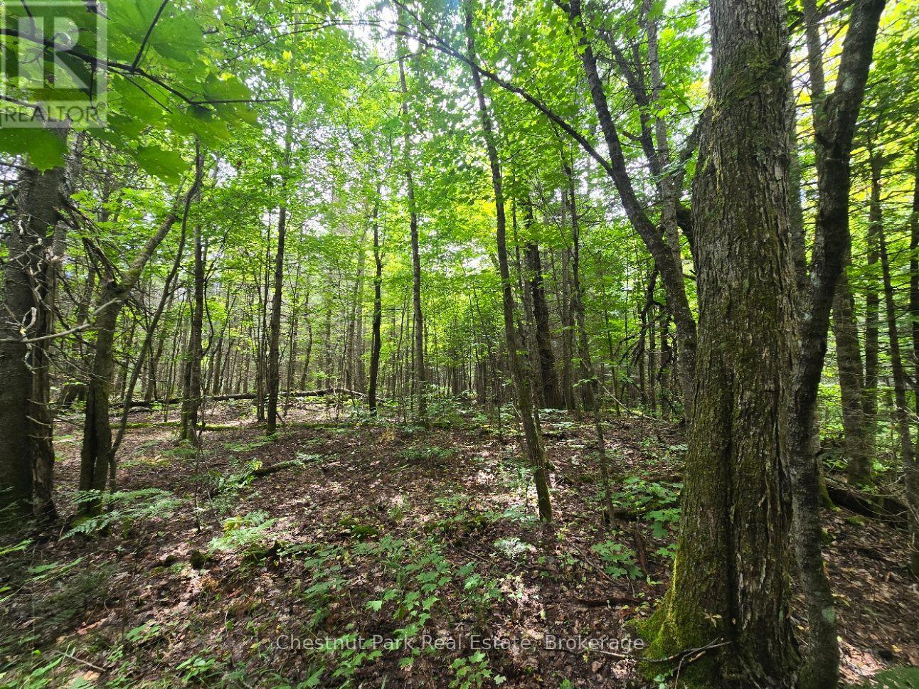 00 Old Track Road — photo 14