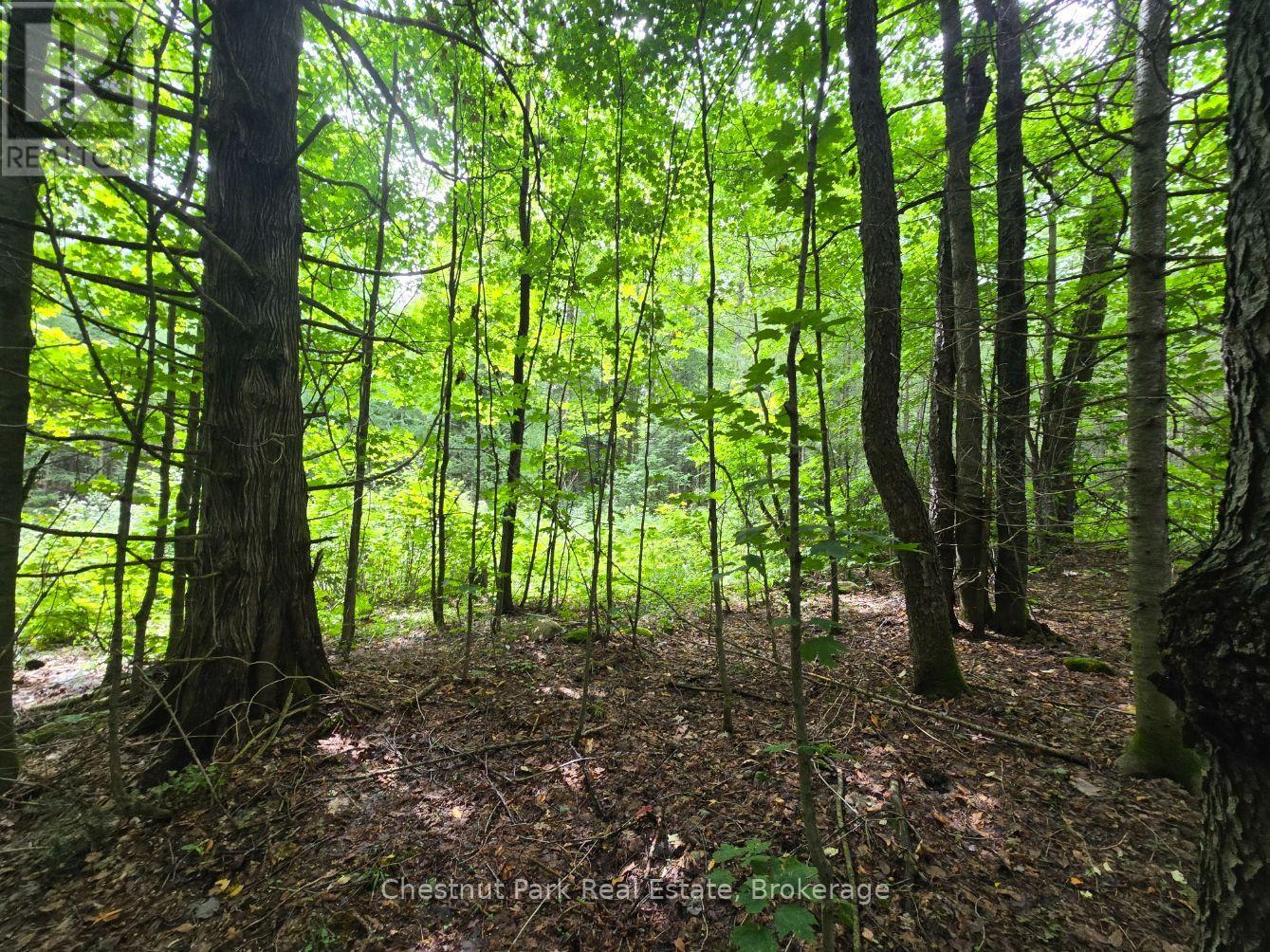 00 Old Track Road — photo 17