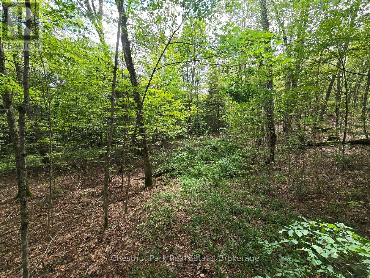 00 Old Track Road — photo 19