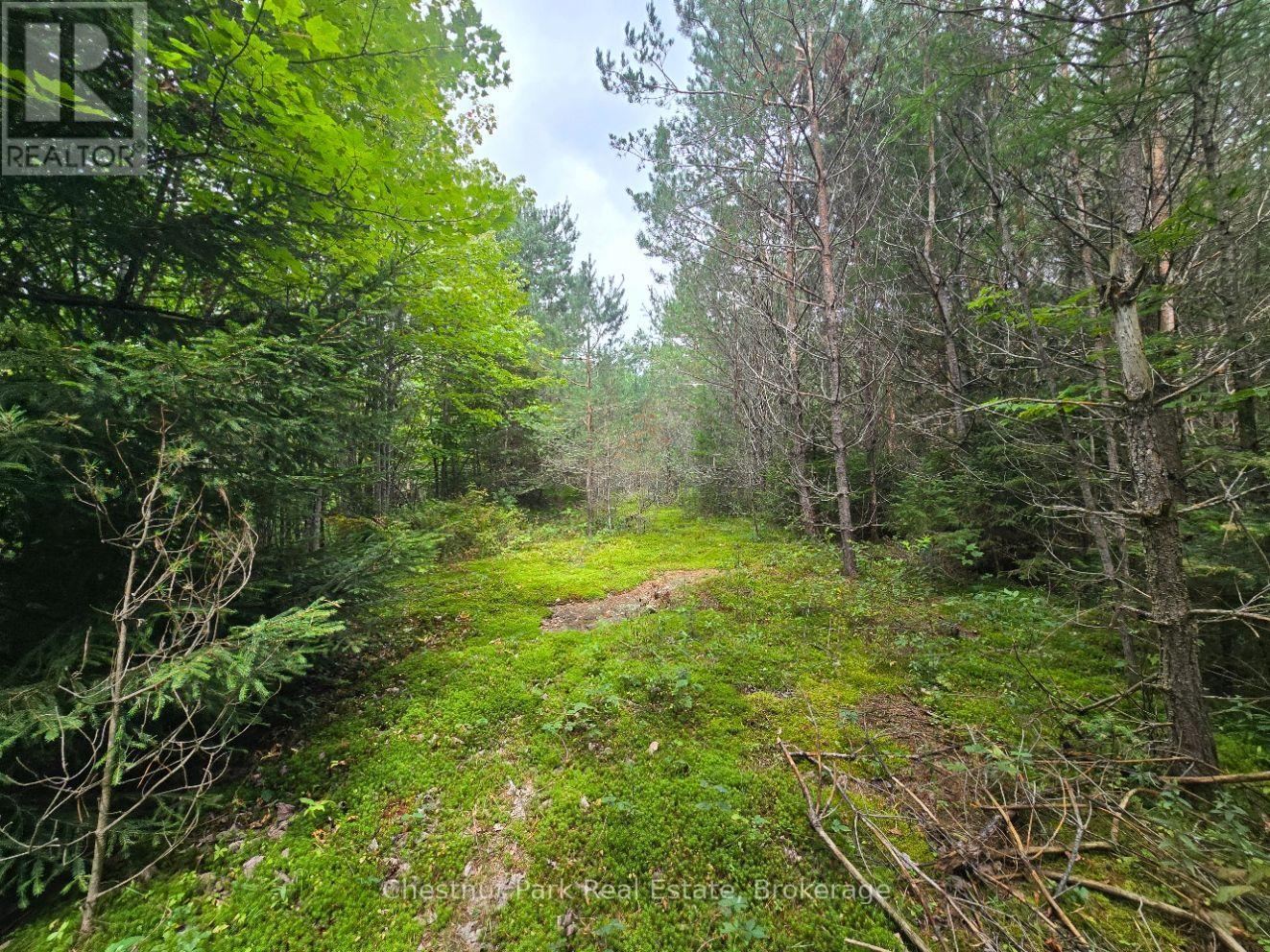 00 OLD TRACK ROAD, Perry — photo 2