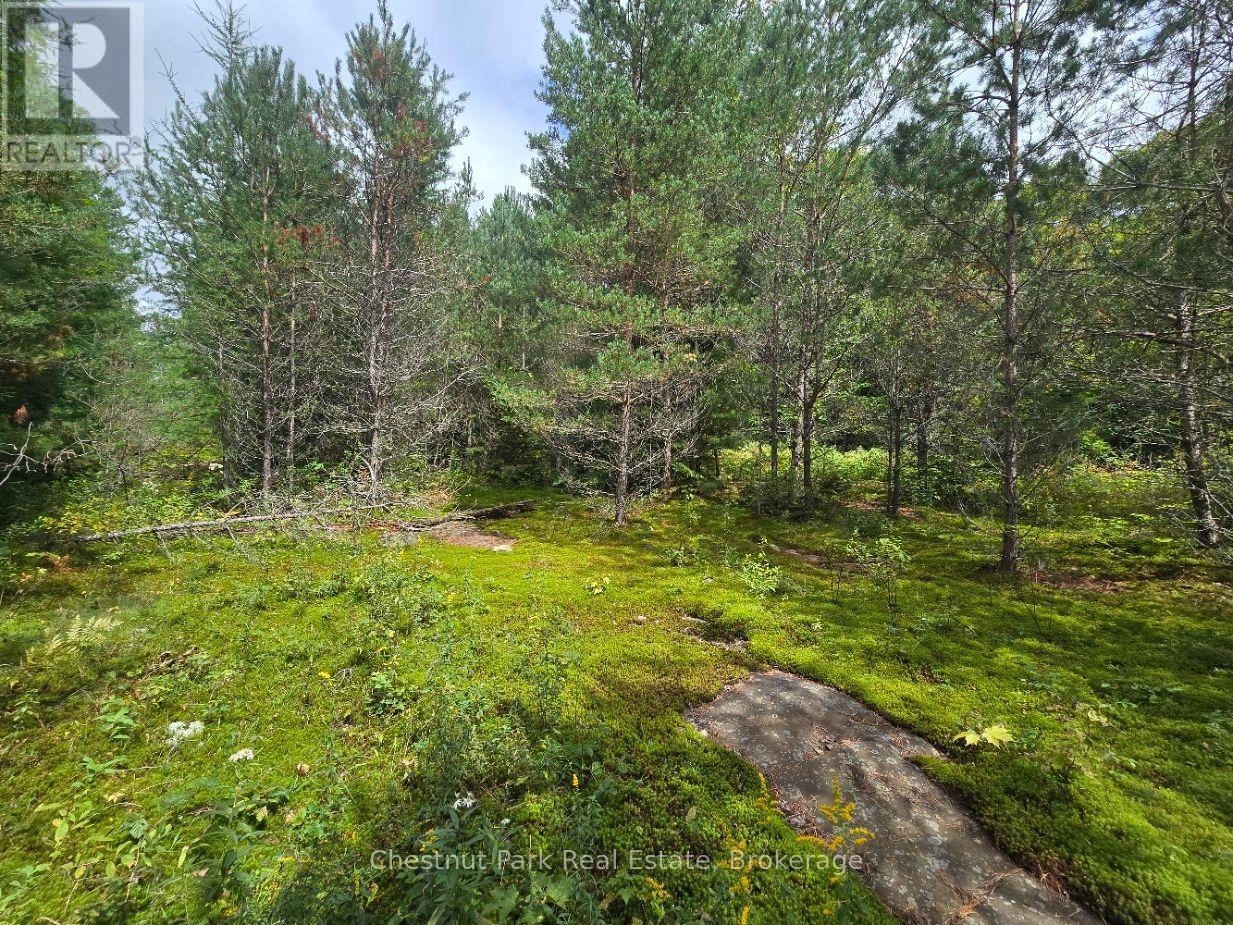 00 Old Track Road — photo 28