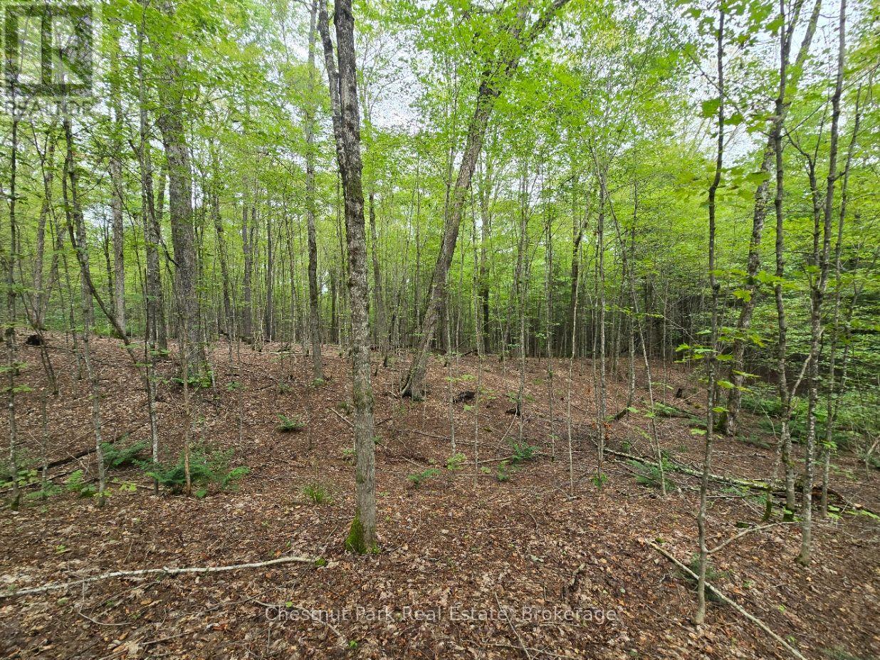 00 OLD TRACK ROAD, Perry — photo 3