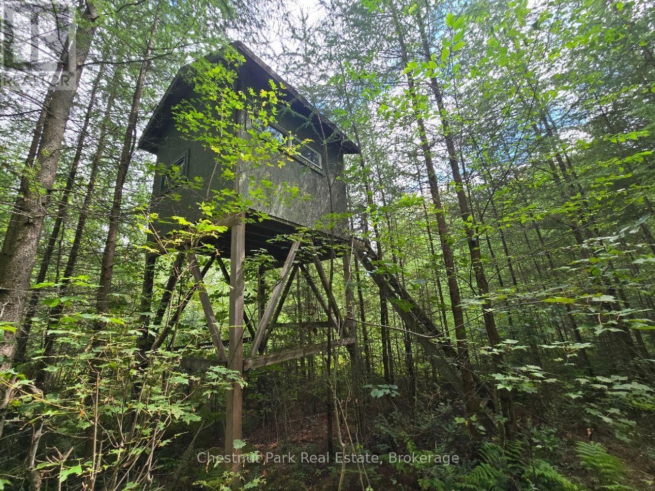 00 OLD TRACK ROAD, Perry — photo 4