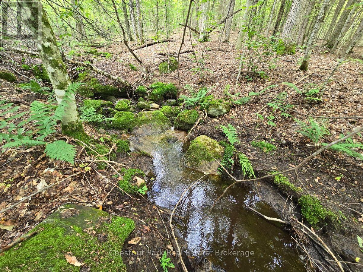 00 OLD TRACK ROAD, Perry — photo 5