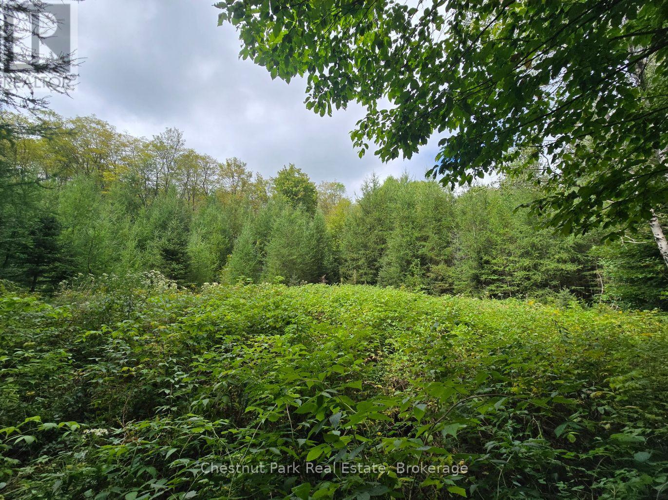 00 OLD TRACK ROAD, Perry — photo 7