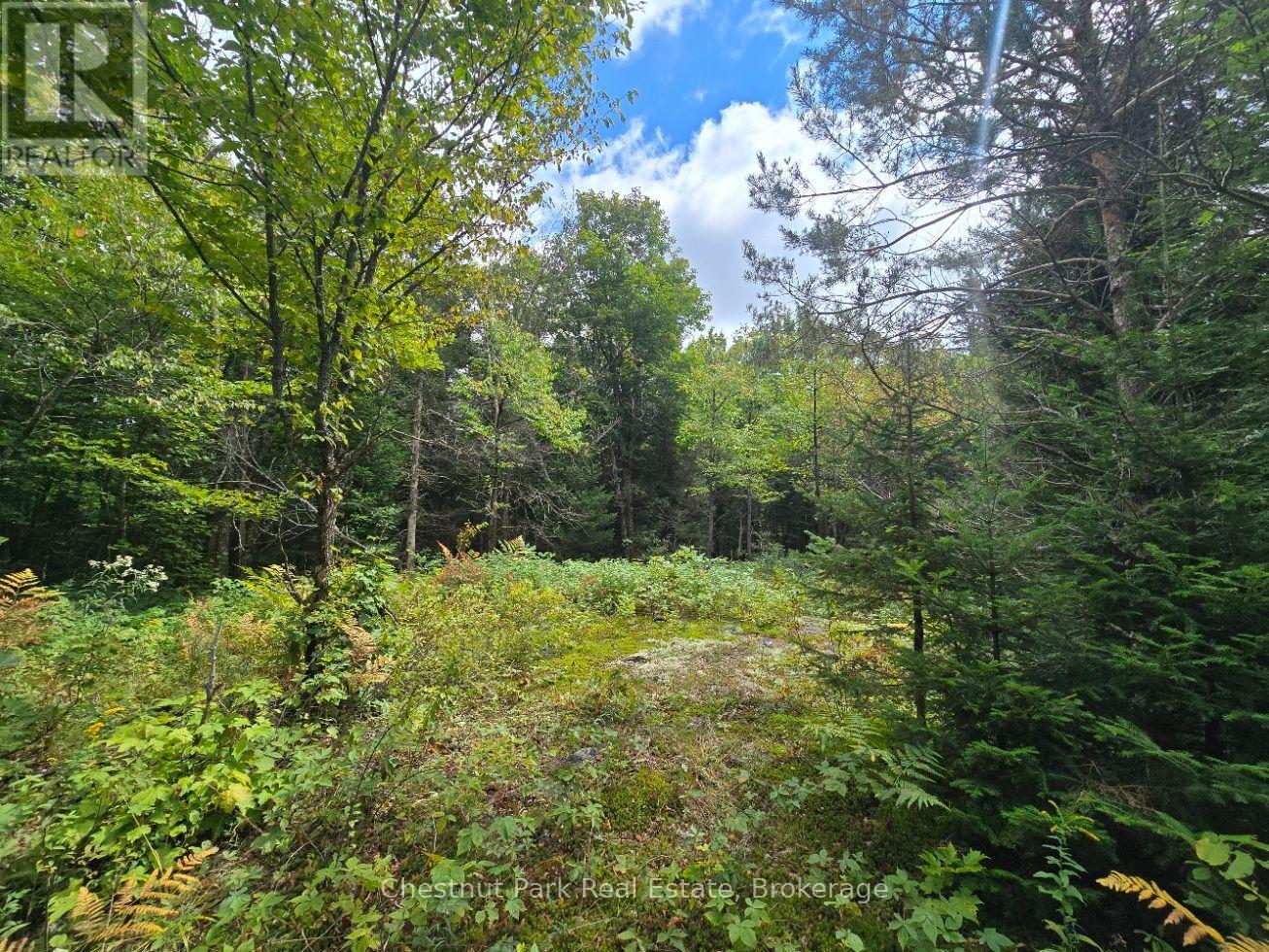 00 OLD TRACK ROAD, Perry — photo 8