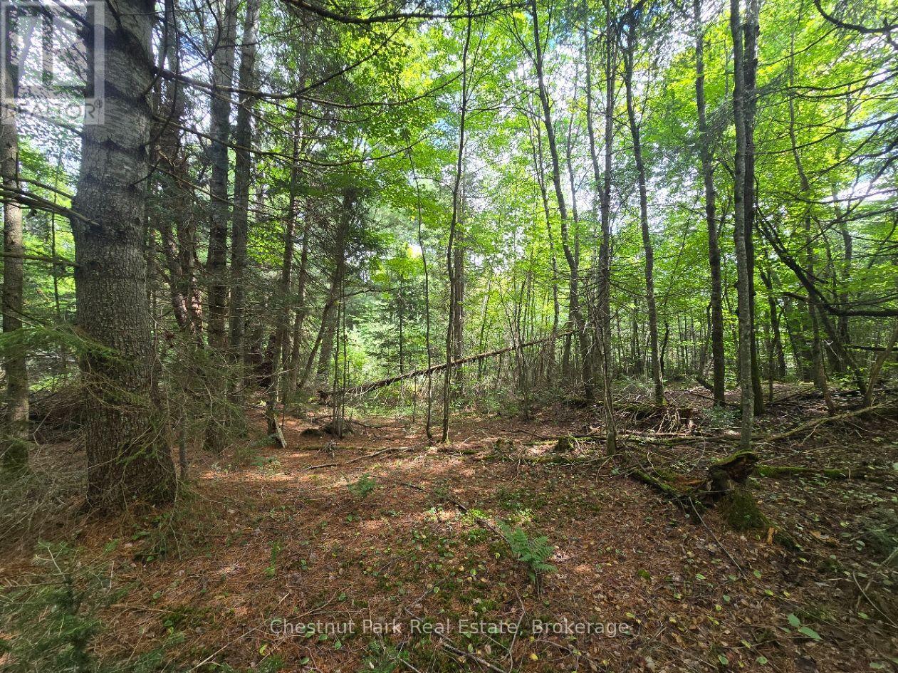 00 OLD TRACK ROAD, Perry — photo 9