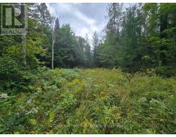 00 Old Track Road, Perry, ON P0A1J0 Photo 16