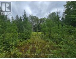 00 Old Track Road, Perry, ON P0A1J0 Photo 6