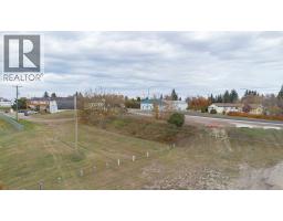 4812-4816 50 Street, Alix, AB T0C0B0 Photo 14