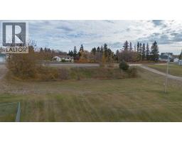 4812-4816 50 Street, Alix, AB T0C0B0 Photo 15