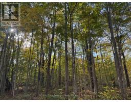 North 1/2 Lot 25 St Vincent Sydenham Townline N, Meaford, ON N4K5W4 Photo 21