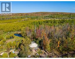 North 1/2 Lot 25 St Vincent Sydenham Townline N, Meaford, ON N4K5W4 Photo 10