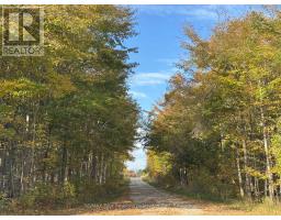 North 1/2 Lot 25 St Vincent Sydenham Townline N, Meaford, ON N4K5W4 Photo 17