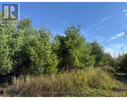 North 1/2 Lot 25 St Vincent Sydenham Townline N, Meaford, ON N4K5W4 Photo 22