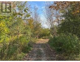 North 1/2 Lot 25 St Vincent Sydenham Townline N, Meaford, ON N4K5W4 Photo 23