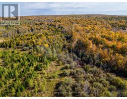 North 1/2 Lot 25 St Vincent Sydenham Townline N, Meaford, ON N4K5W4 Photo 24