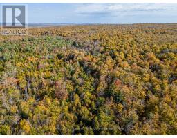 North 1/2 Lot 25 St Vincent Sydenham Townline N, Meaford, ON N4K5W4 Photo 6