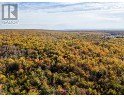 North 1/2 Lot 25 St Vincent Sydenham Townline N, Meaford, ON N4K5W4 Photo 9