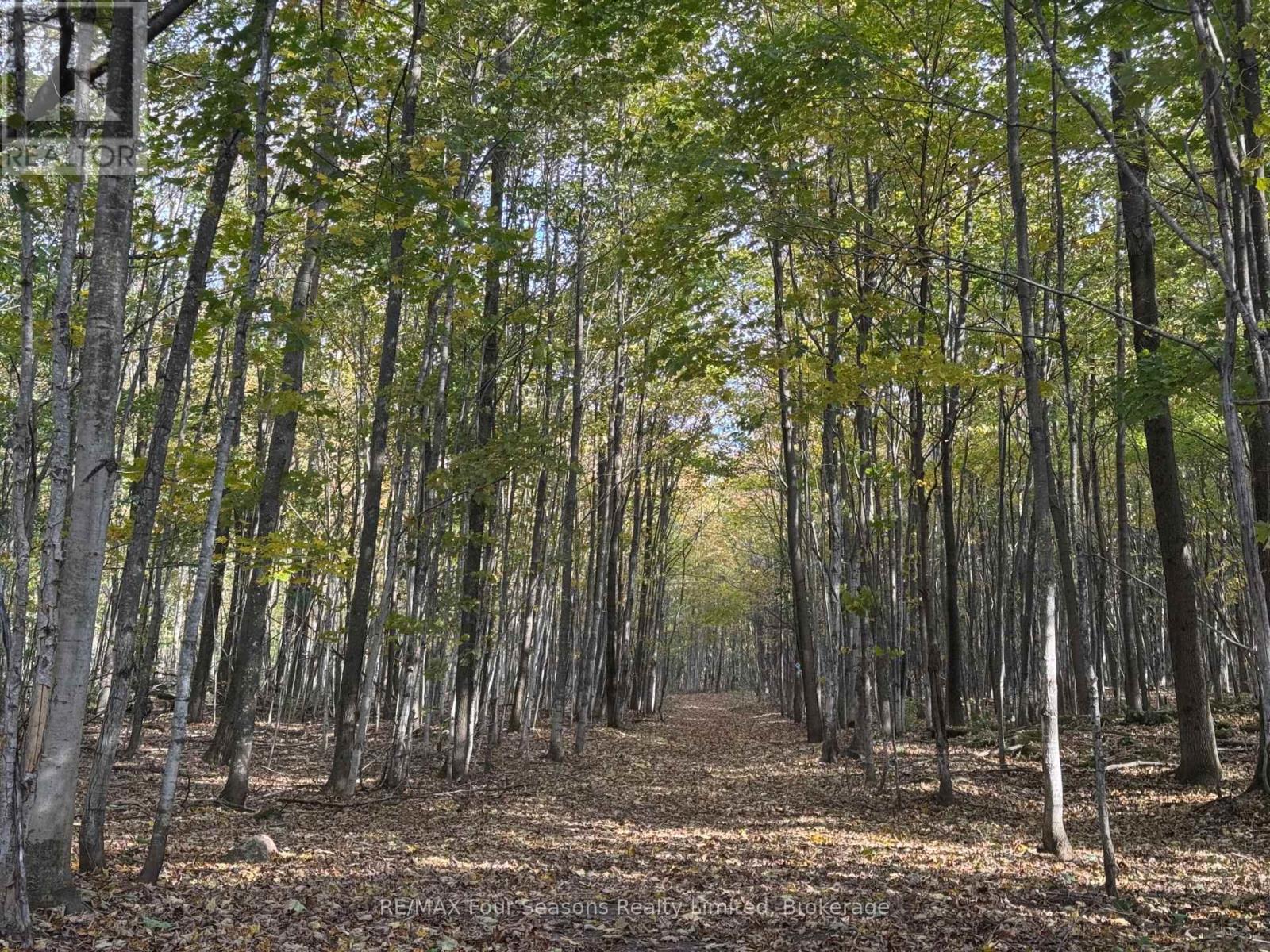NORTH 1/2 LOT 25 ST VINCENT SYDENHAM TOWNLINE N, Meaford — photo 8