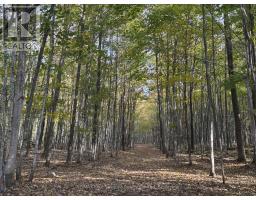 North 1/2 Lot 25 St Vincent Sydenham Townline N, Meaford, ON N4K5W4 Photo 8