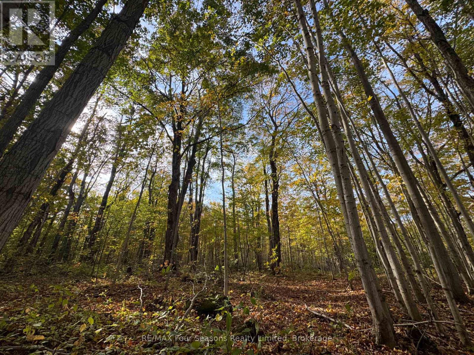 NORTH 1/2 LOT 25 ST VINCENT SYDENHAM TOWNLINE N, Meaford — photo 7
