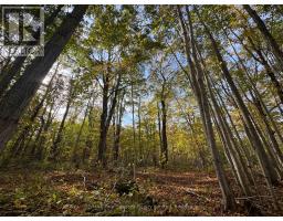 North 1/2 Lot 25 St Vincent Sydenham Townline N, Meaford, ON N4K5W4 Photo 7