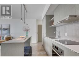 4906 - 100 Harbour Street, Toronto, ON M5J2T5 Photo 10