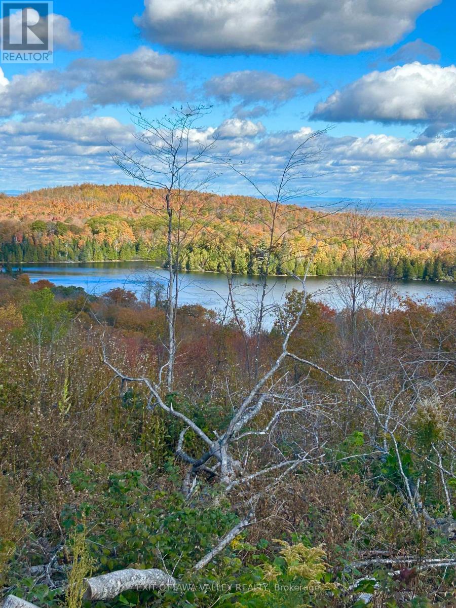 00 ROSIEN ROAD, Bonnechere Valley — photo 2
