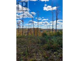 00 Rosien Road, Bonnechere Valley, ON K0J1T0 Photo 12