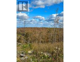 00 Rosien Road, Bonnechere Valley, ON K0J1T0 Photo 13