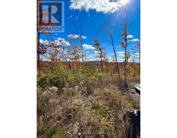00 Rosien Road, Bonnechere Valley, ON K0J1T0 Photo 14