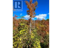 00 Rosien Road, Bonnechere Valley, ON K0J1T0 Photo 15