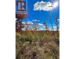 00 Rosien Road, Bonnechere Valley, ON K0J1T0 Photo 6