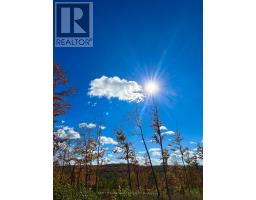 00 Rosien Road, Bonnechere Valley, ON K0J1T0 Photo 7