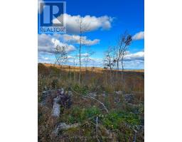 00 Rosien Road, Bonnechere Valley, ON K0J1T0 Photo 9