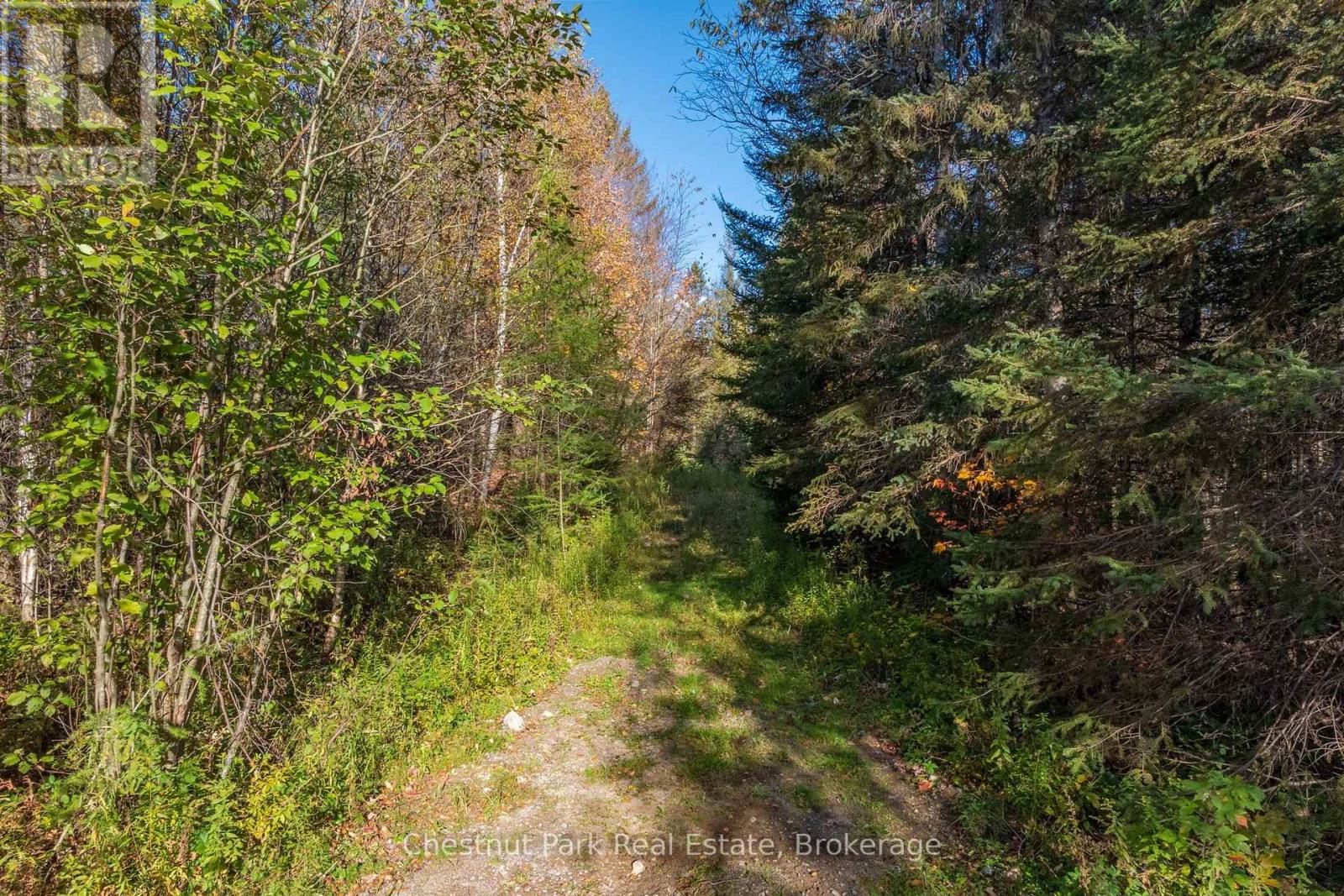 00 Old Track Road — photo 35