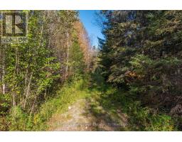 00 Old Track Road, Perry, ON P0A1J0 Photo 35