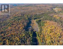 00 Old Track Road, Perry, ON P0A1J0 Photo 39