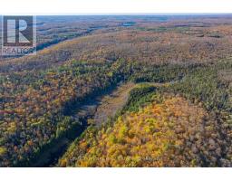 00 Old Track Road, Perry, ON P0A1J0 Photo 41