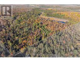 00 Old Track Road, Perry, ON P0A1J0 Photo 36