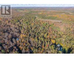 00 Old Track Road, Perry, ON P0A1J0 Photo 34