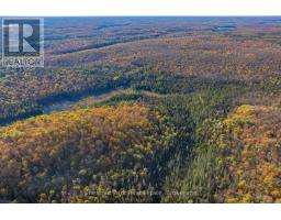 00 Old Track Road, Perry, ON P0A1J0 Photo 43